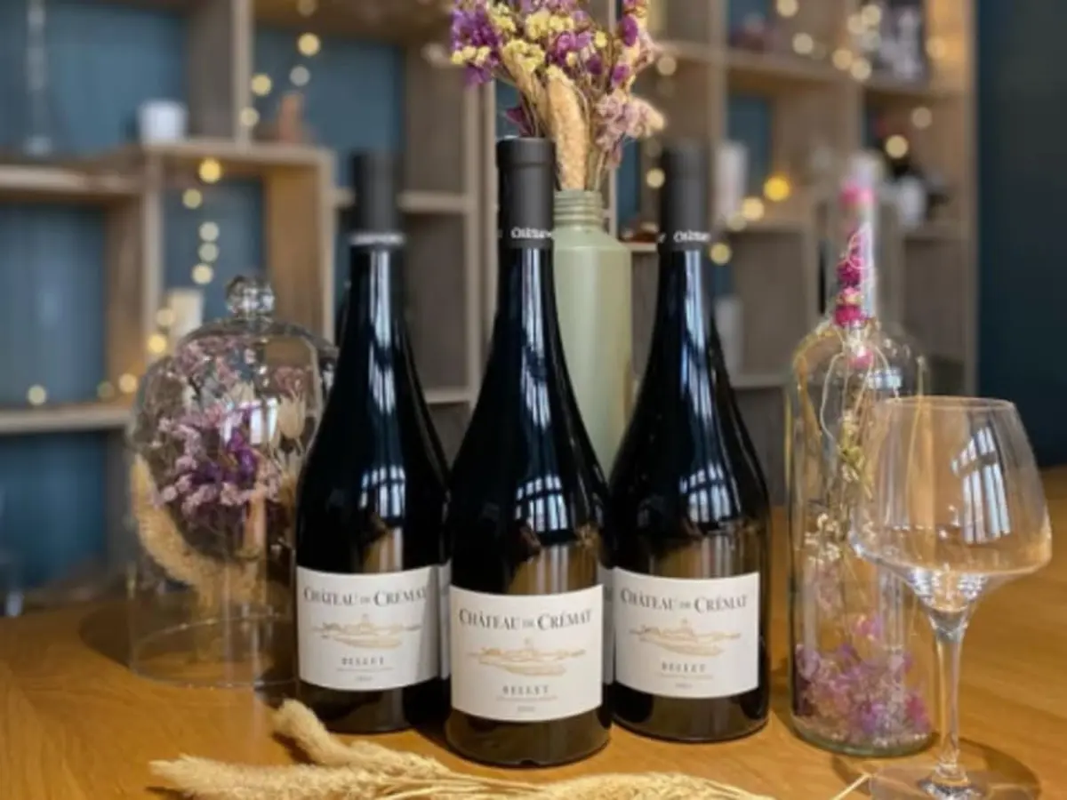 Dégustation de vins à Lyon 1er