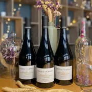 Dégustation de vins à Lyon 1er