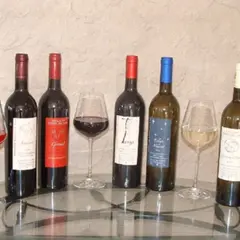 Dégustation de vins à proximité de Perpignan (66)