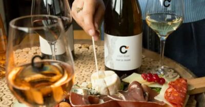 D&eacute;gustation de vins &agrave; Villegailhenc (11)