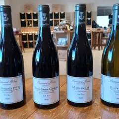 Dégustation de vins à Vosne-Romanée (21)