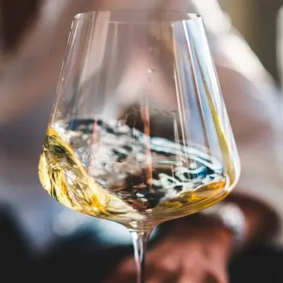 Dégustation de vins de Bordeaux et collations