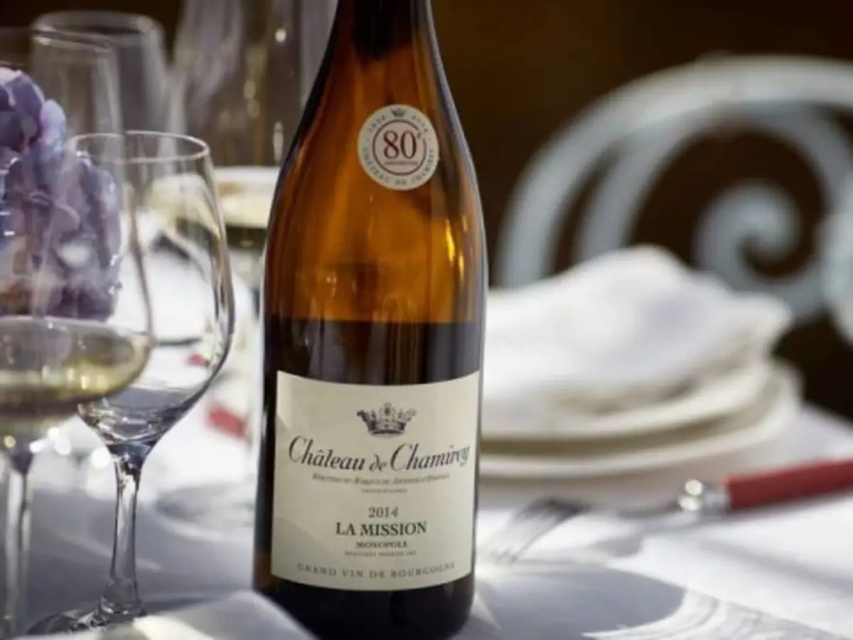 Dégustation de vins de prestige au Château de Chamirey (71)