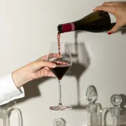 Dégustation de vins découverte  à Chambolle-Musigny (21)