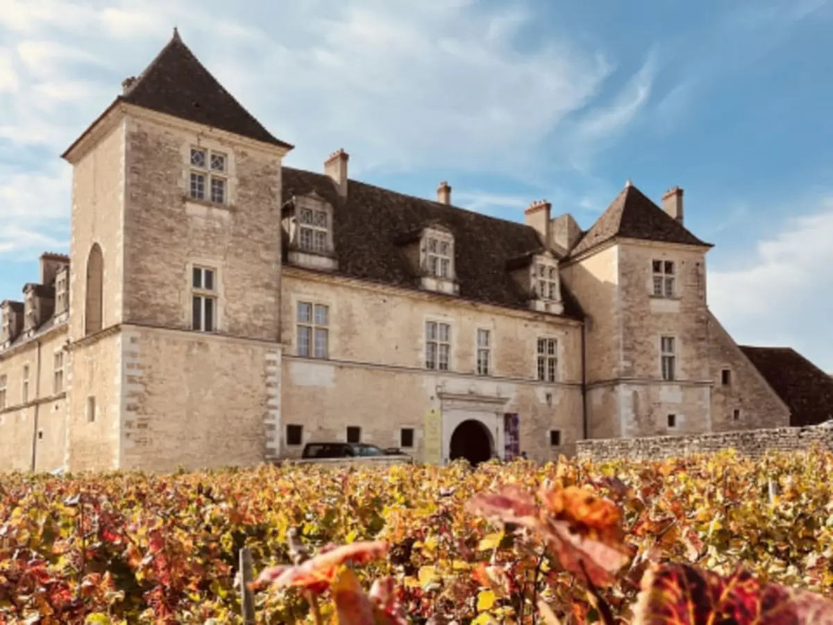 Dégustation de vins en Côte de Nuit (21)