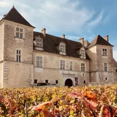 Dégustation de vins en Côte de Nuit (21)