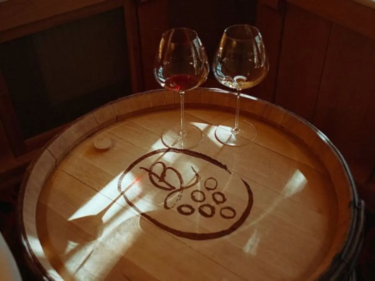 Dégustation de vins & fromages à Chambolle-Musigny (21)