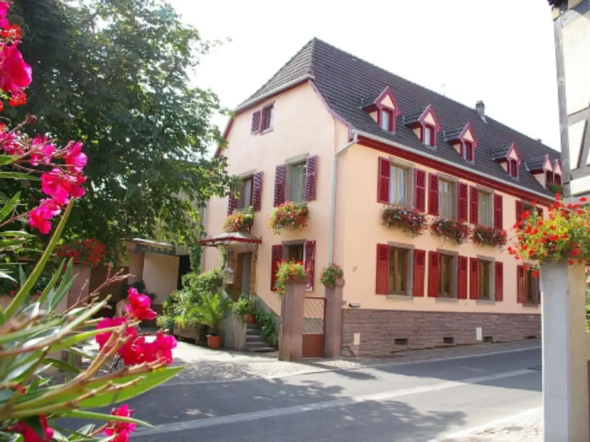 Dégustation de  Vins & Planches Apéro à Wettolsheim (68)