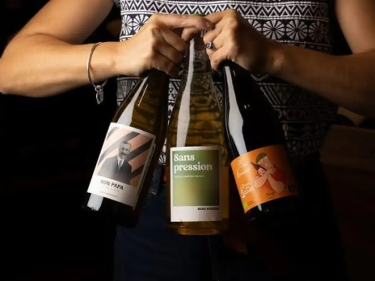 Dégustation de vins intuitive à Fontainebleau (77)