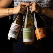 Dégustation de vins intuitive à Fontainebleau (77)