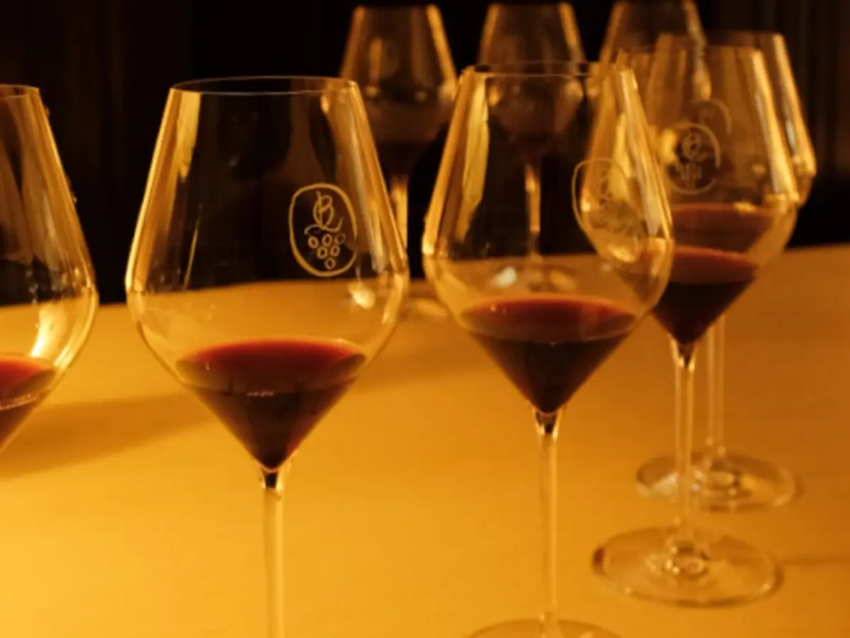 Dégustation de vins villages à Chambolle-Musigny (21)