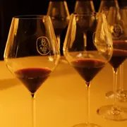 Dégustation de vins villages à Chambolle-Musigny (21)