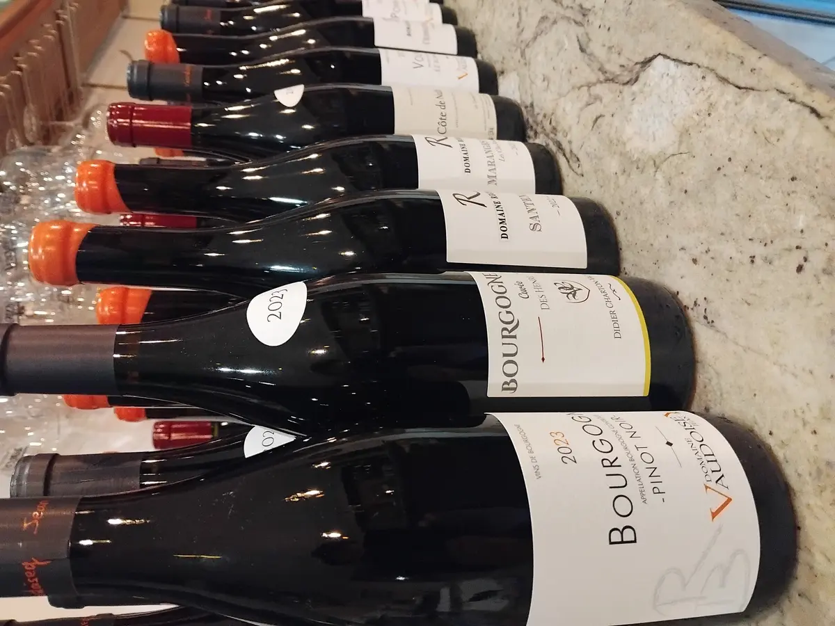 Dégustation Découverte des Vins de Bourgogne