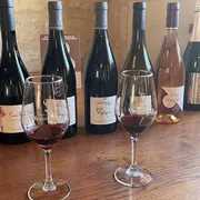 Dégustation des cuvées du domaine