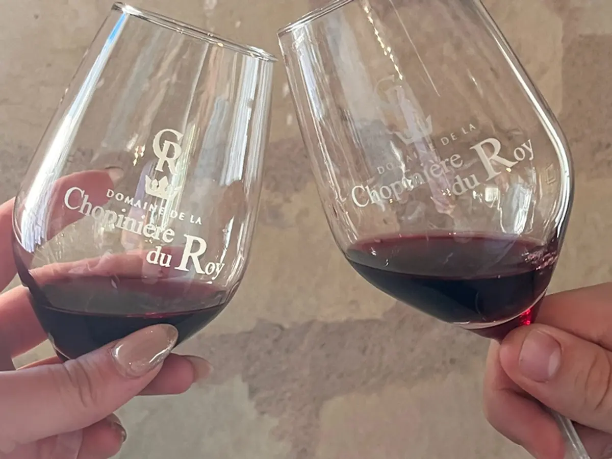 Dégustation des cuvées du domaine