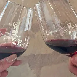 Dégustation des cuvées du domaine