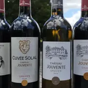 Dégustation des vins de Graves de Jouvente à Illats (33)