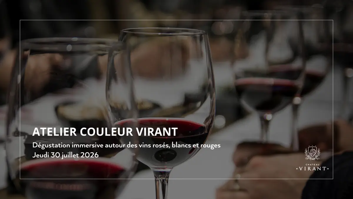 Dégustation des vins du domaine (3 couleurs) - Expérience pédagogique