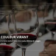 Dégustation des vins du domaine (3 couleurs) - Expérience pédagogique