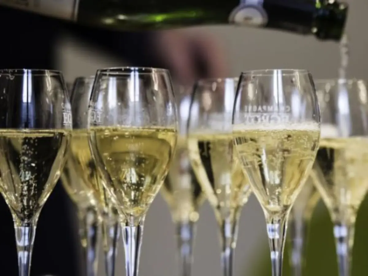 Dégustation Deux cuvées de Champagne à Aÿ (51)