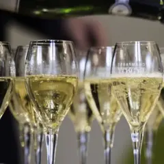 Dégustation Deux cuvées de Champagne à Aÿ (51)