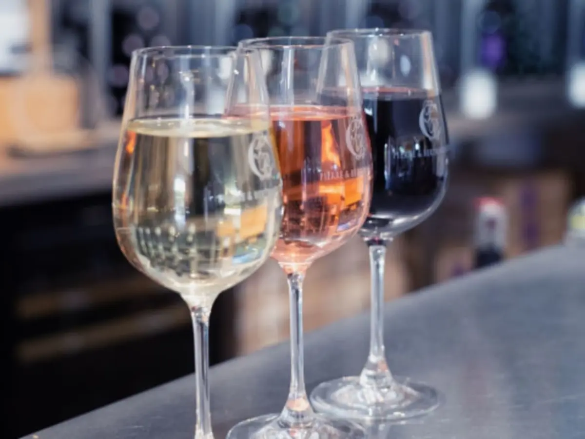 Dégustation en accord vins et fromages au domaine P&B Couly (37)