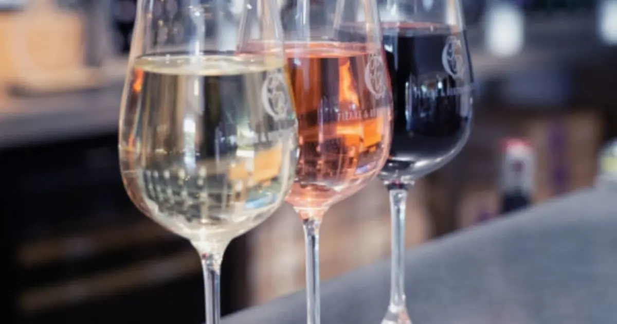 Dégustation en accord vins et fromages au domaine P&B Couly (37)
