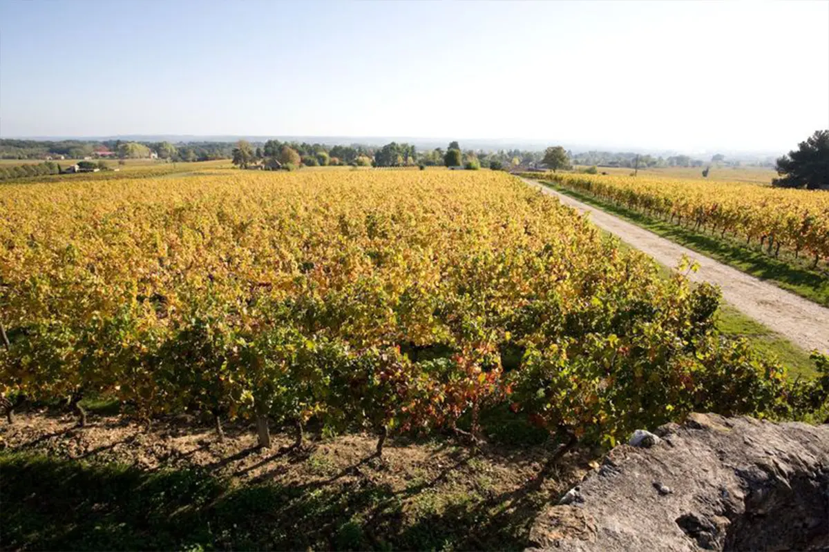 Dégustation gourmande | Domaine du Haut Pécharmant