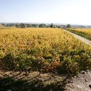 Dégustation gourmande | Domaine du Haut Pécharmant