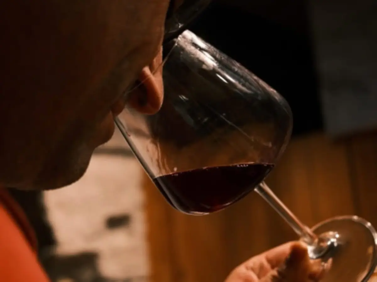 Dégustation Iconique,  Vins Rares & Vieux Millésimes à Lyon 5ème