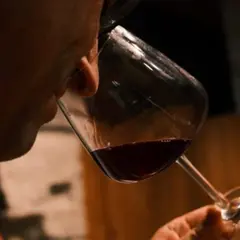 Dégustation Iconique,  Vins Rares & Vieux Millésimes à Lyon 5ème
