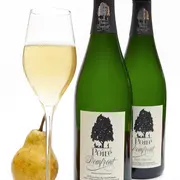 Dégustation oeonologique de Poiré Domfront