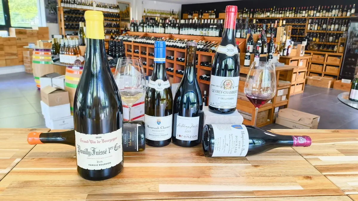 Dégustation spéciale vente des vins Voyage en 1ers Crus - Au cœur des terroirs de Bourgogne Millésimes à la Carte