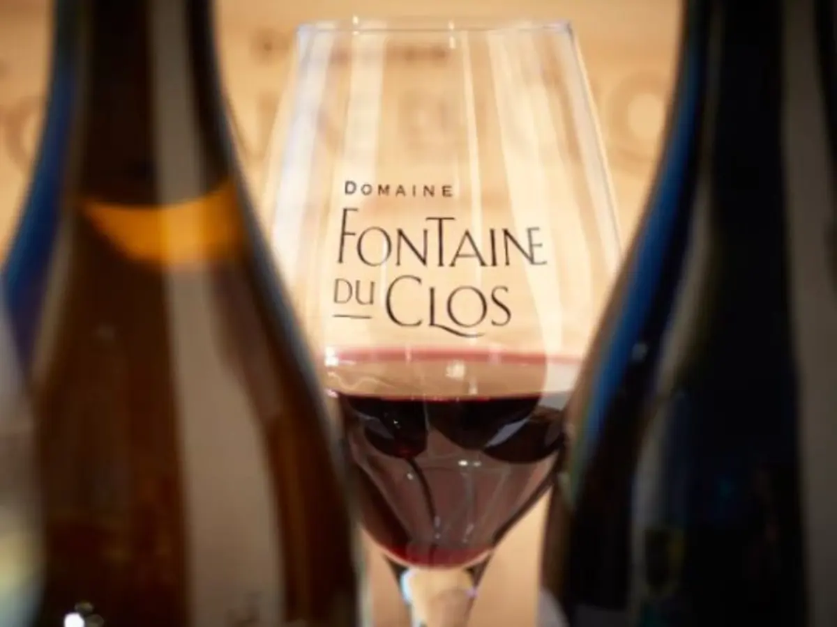 Dégustation verticale de vins à Sarrians (84)