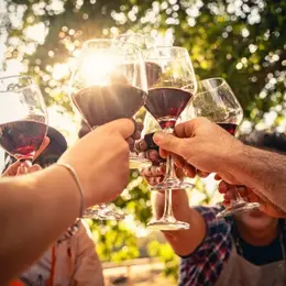 Dégustation Vigneronne Avec Le Domaine Des Soulanes