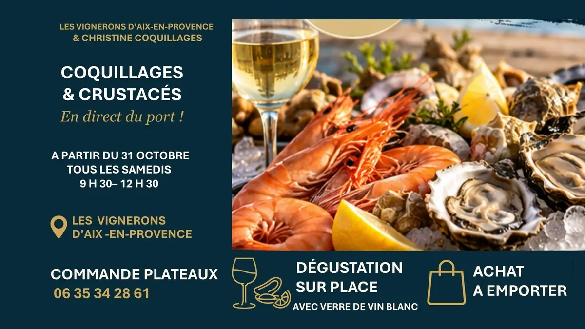 Dégustation vin et coquillage