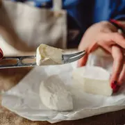 Dégustation vins & fromages à Bordeaux (33)