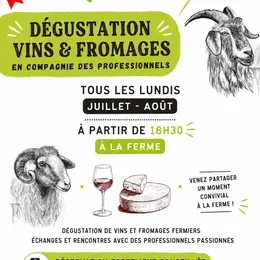Dégustation vins et fromages en compagnie des professionnels