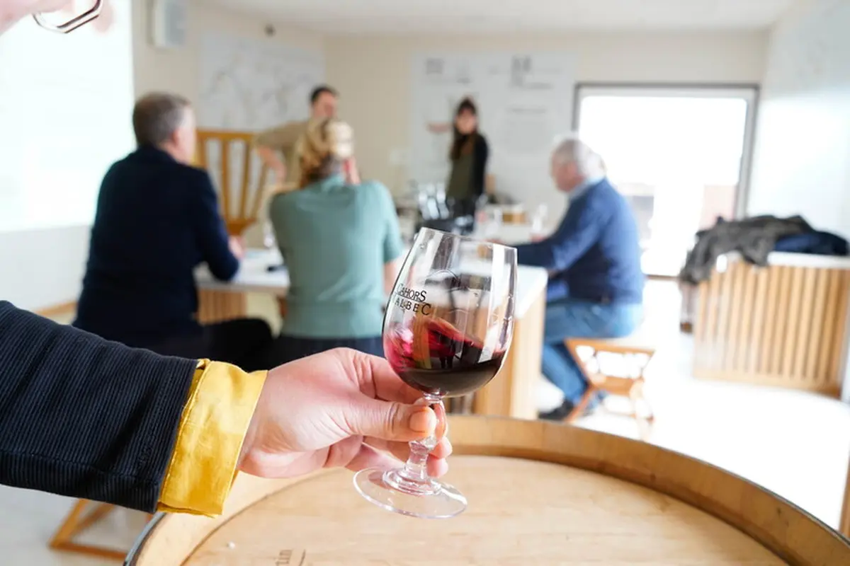 Dégustations de l’Eté à Vinoltis