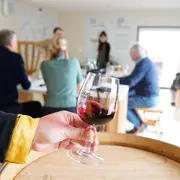 Dégustations de l’Eté à Vinoltis