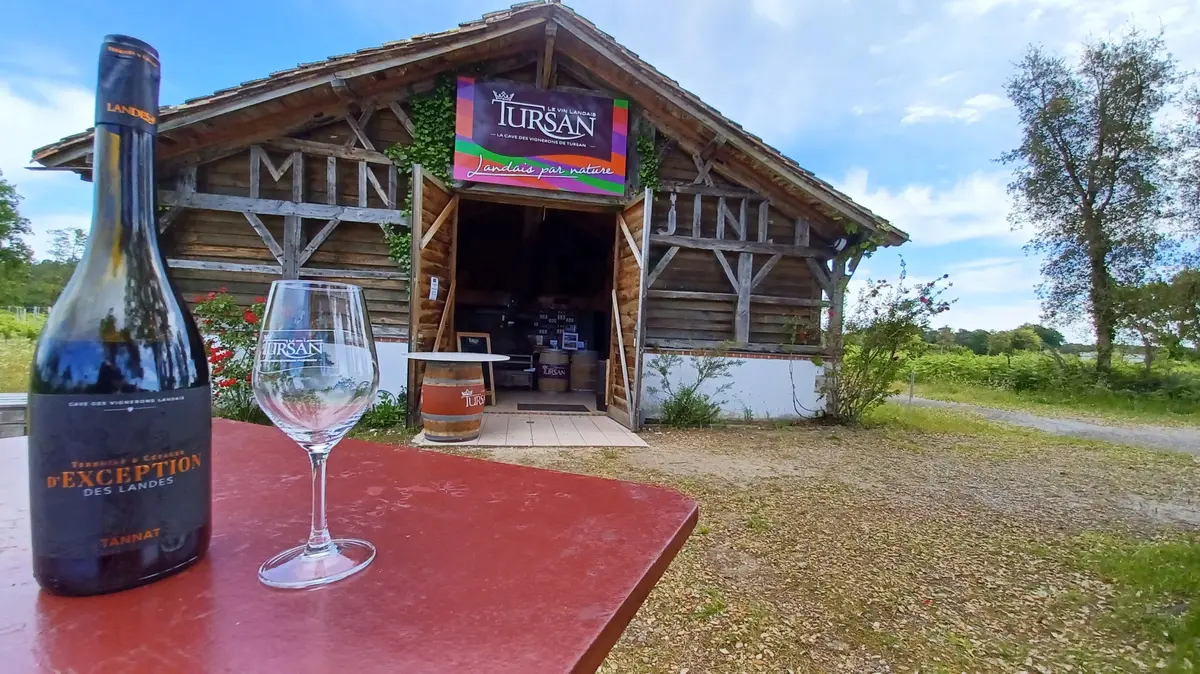 Dégustations gratuites de vins