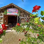 Dégustations gratuites de vins
