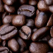 Delta Cafés lance deux nouvelles boissons café en 2025 : une gamme de cafés en grains haut de gamme et une boisson chocolatée prête à boire pour les pauses nomades