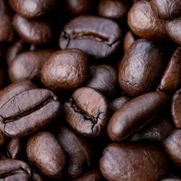 Delta Cafés lance deux nouvelles boissons café en 2025 : une gamme de cafés en grains haut de gamme et une boisson chocolatée prête à boire pour les pauses nomades