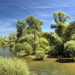 Le Delta de la Sauer