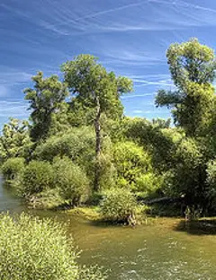 Le Delta de la Sauer