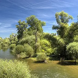 Le Delta de la Sauer