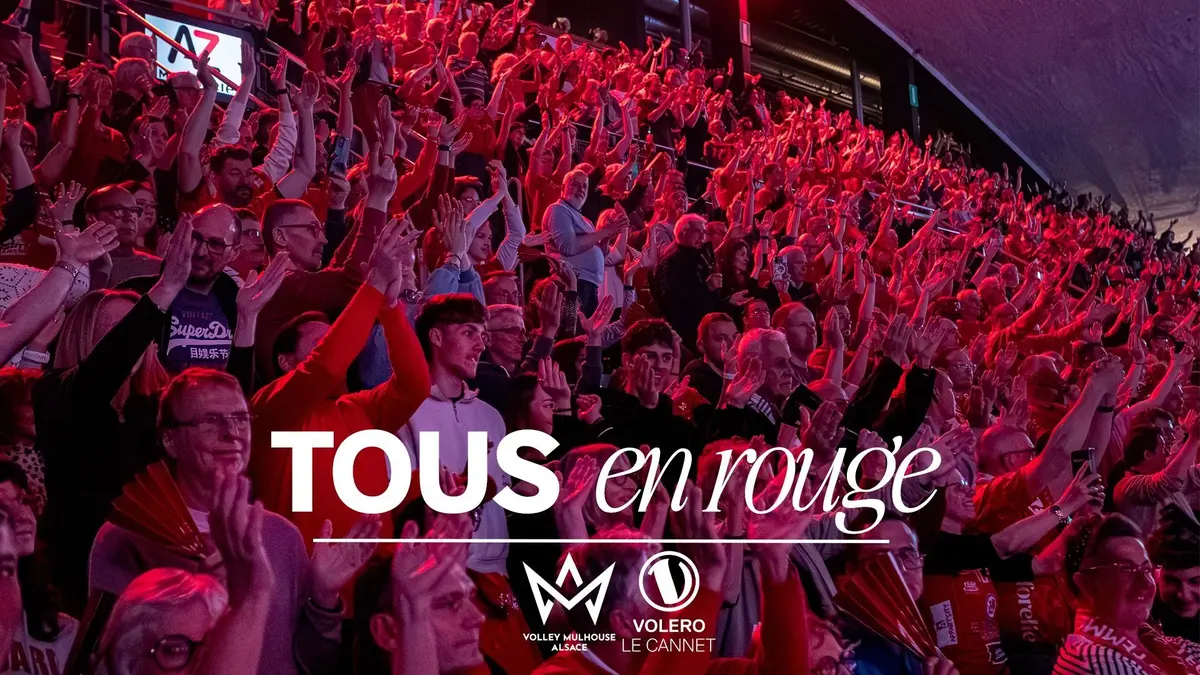 Demi-finales des play-offs : Volley Mulhouse Alsace vs Le Cannet