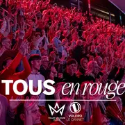 Demi-finales des play-offs : Volley Mulhouse Alsace vs Le Cannet