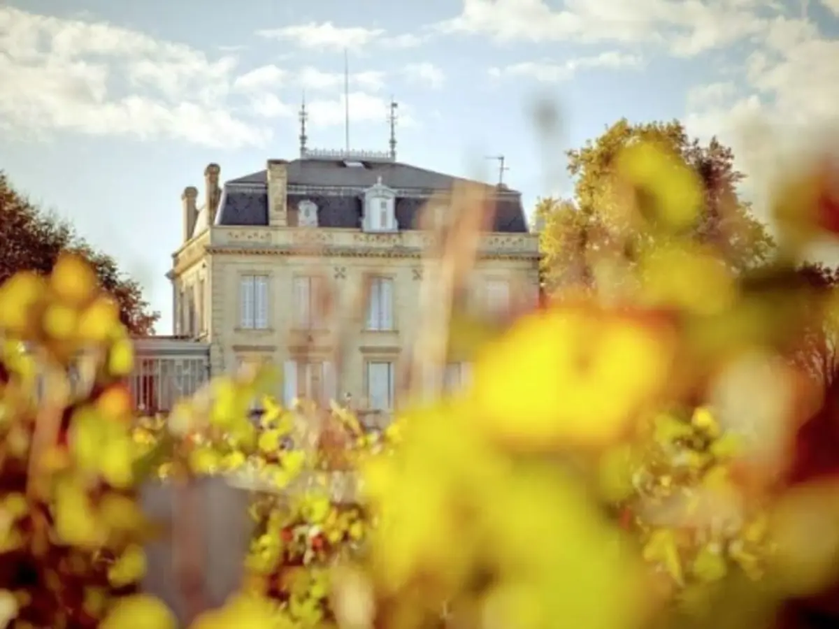 Demi-journée à Pomerol et Saint Emilion en voiture de collection